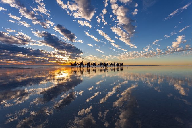 1 Hour Broome Sunset Camel Tour - Why a Broome sunset camel ride works better than you expect