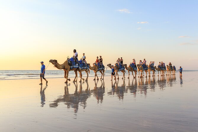 1 Hour Broome Sunset Camel Tour - Your 1-hour rhythm on Cable Beach: what to expect