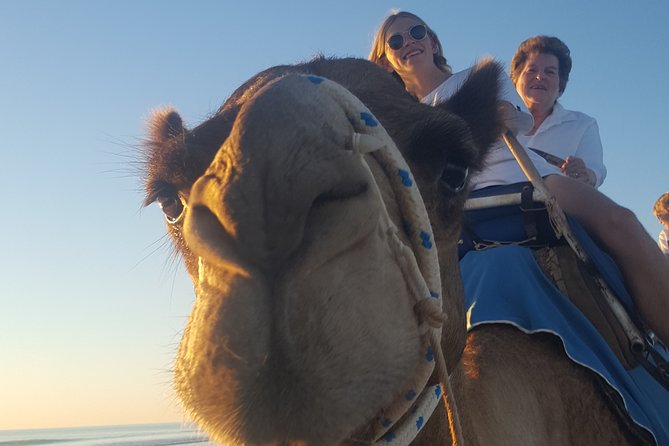1 Hour Broome Sunset Camel Tour - Camel comfort, safety, and the 90kg weight limit