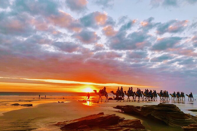 1 Hour Broome Sunset Camel Tour - Feeding your camel carrots: why this tiny add-on matters