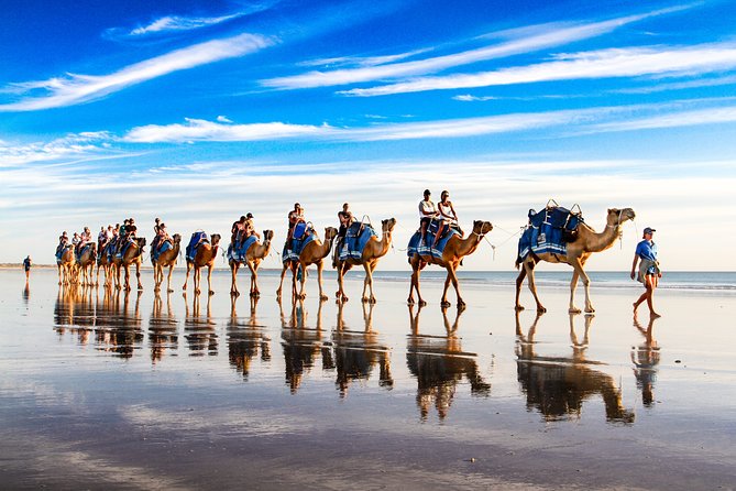 1 Hour Broome Sunset Camel Tour - Price and what $125 buys you (and where it adds value)