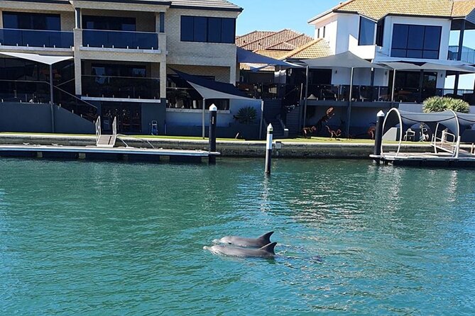 1 Hour Deluxe Scenic Dolphin Cruise - Mandurah canals and million-dollar homes: the calm, scenic payoff