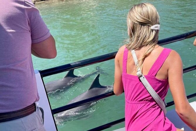 1 Hour Deluxe Scenic Dolphin Cruise - How the skipper improves your dolphin odds (and your experience)
