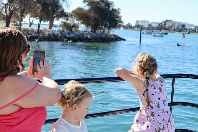 1 Hour Deluxe Scenic Dolphin Cruise - What’s included—and what to plan for