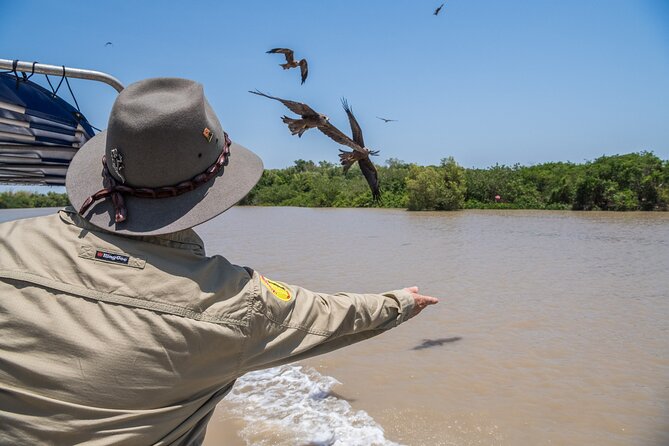 1 Hour Jumping Crocodile Cruise on the Adelaide River - Saltwater crocs, Adelaide River style: wild, not showy