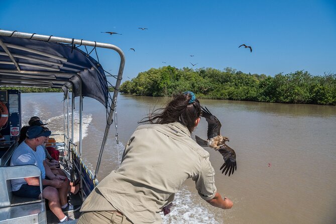 1 Hour Jumping Crocodile Cruise on the Adelaide River - Adelaide River sightings: what close-up saltwater crocs really looks like
