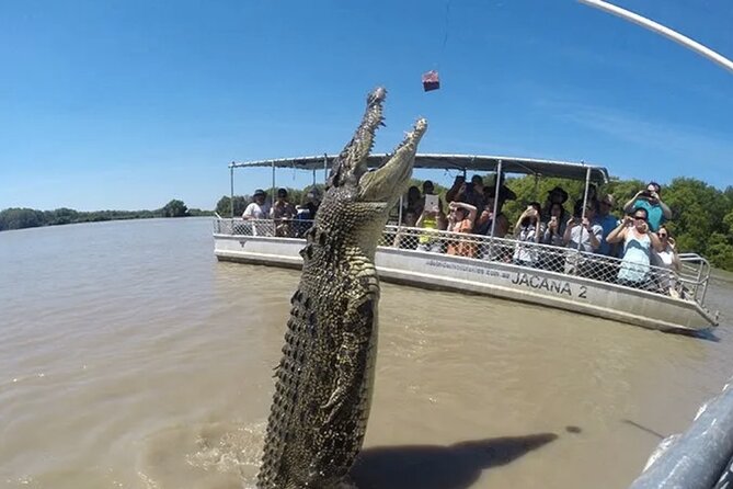 1 Hour Jumping Crocodile Cruise on the Adelaide River - Who this suits best (and who might want a different option)