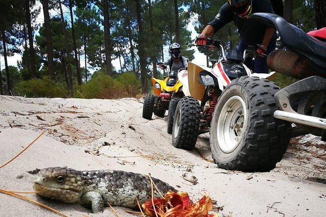 1 Hour Quad Bike Tours, only 30 minutes from Perth - Key things that make this tour worth your time