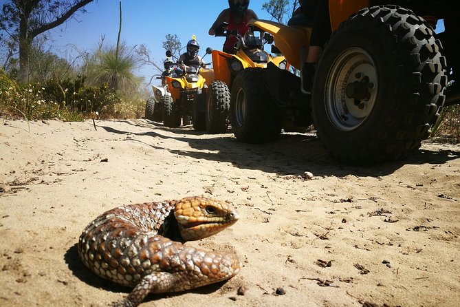 1 Hour Quad Bike Tours, only 30 minutes from Perth - How the $92.52 price stacks up for a one-hour private ride