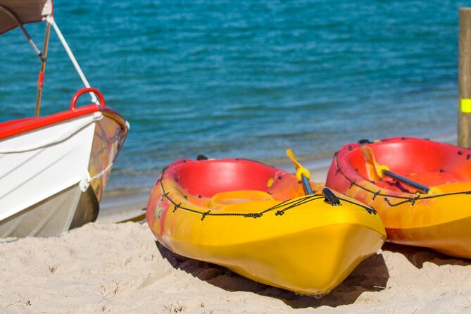 1 Hour Single or Double Kayak Rental to the Nth Bribie Island - Single vs double kayak: picking the right craft for comfort and control