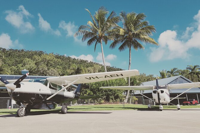 1-Hour Whitsunday Islands and Heart Reef Scenic Flight - The Great Barrier Reef Portion: Low-Level Time and Wildlife Odds
