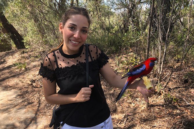 #1 Private Blue Mountains Tour by authentic story telling locals - Featherdale Wildlife Park: your best chance to see koalas and crocodiles