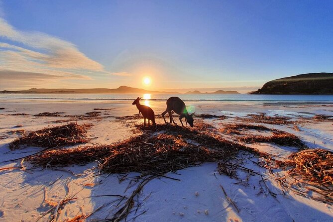 10-Day Perth to Adelaide Adventure Tour - A Perth-to-Adelaide road trip that feels bigger than the cities