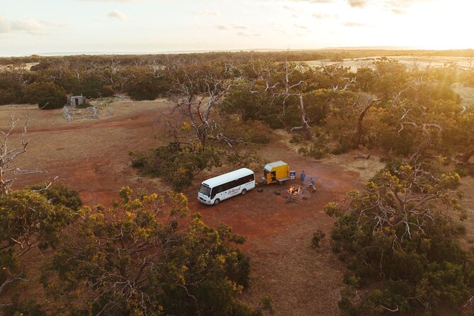10-Day Perth to Adelaide Adventure Tour - Day 10: Mambray Creek walk under red gums, then Clare Valley to Adelaide
