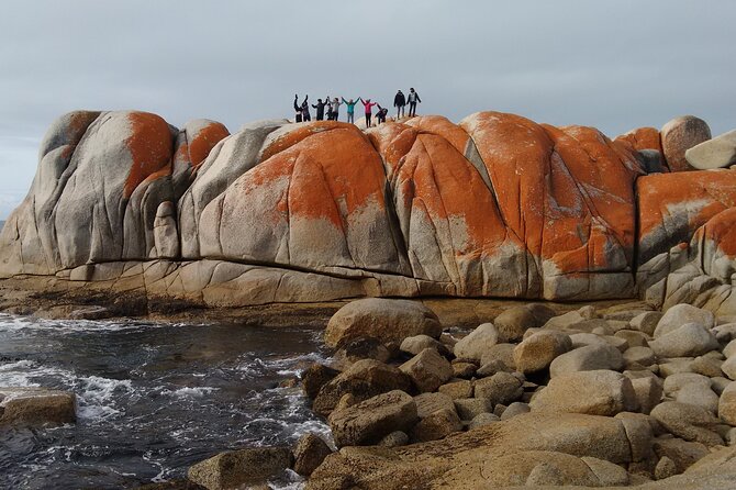 10 Days Ultimate Guided Tour of Tasmania - Comfort Tour - North West Tasmania’s Tarkine and Coast: Hellyer Gorge to Trowutta Arch