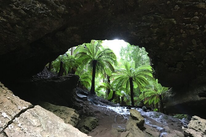 10 Days Ultimate Guided Tour of Tasmania - Comfort Tour - East Coast Highlights: Cataract Gorge, Bay of Fires, and Bicheno Penguins