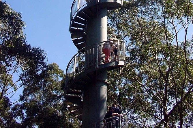 12 Apostles and Otway Fly Zipline Day Trip from Melbourne - Twelve Apostles boardwalks and the helicopter option