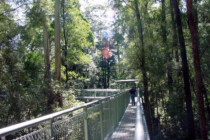 12 Apostles and Otway Fly Zipline Day Trip from Melbourne - Is this a good fit for families and thrill seekers?