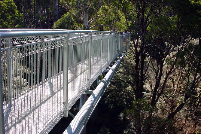 12 Apostles and Otway Fly Zipline Day Trip from Melbourne - Price and value: what $159.23 really includes