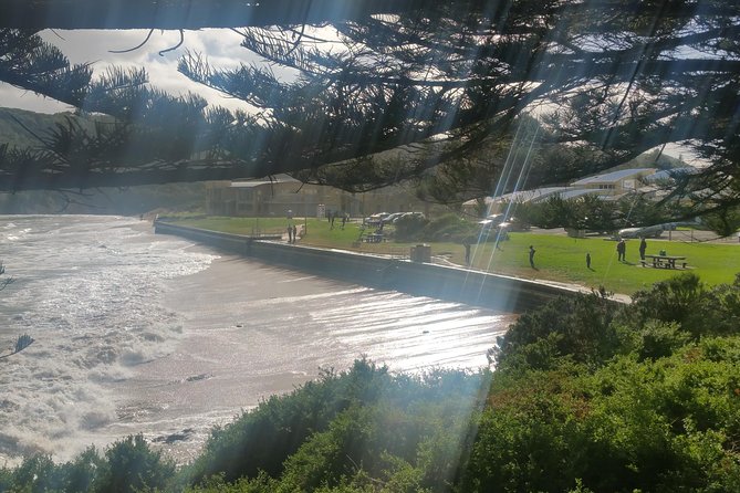 12 Apostles and Otway Fly Zipline Day Trip from Melbourne - Stopping in places that make the coast feel real
