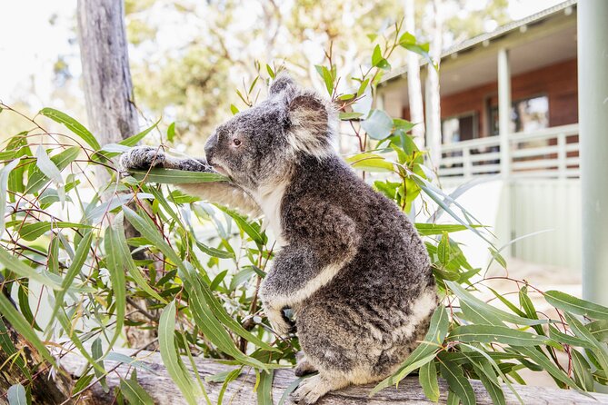 14 Day Tour from Sydney to Cairns Fraser Island and Whitsundays - A 14-Day East Coast Sampler from Sydney to Cairns