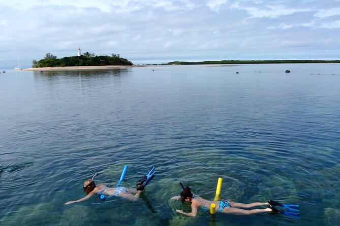 2 1/4 hr Low Isles Reef Sprinter Snorkeling Tour-No Island Access - Snorkeling the Low Isles mooring (and why no island access can be a plus)