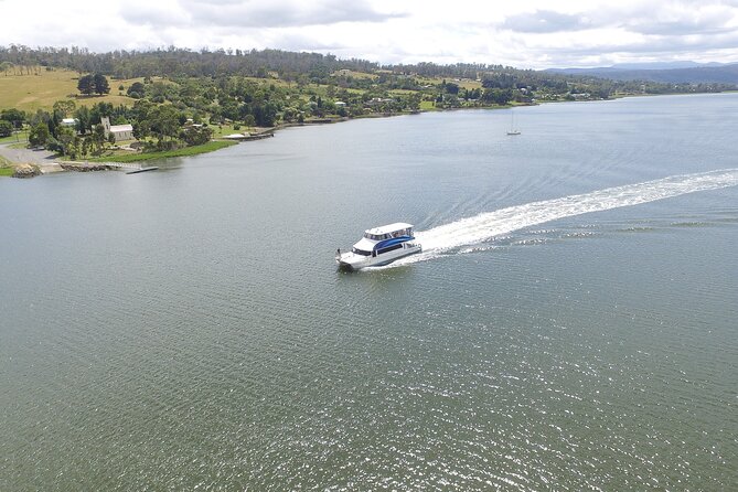 2.50 hour Afternoon Discovery Cruise including Cataract Gorge departing at 3 pm - Cataract Gorge From the Tamar River: Where the Views Turn Scenic