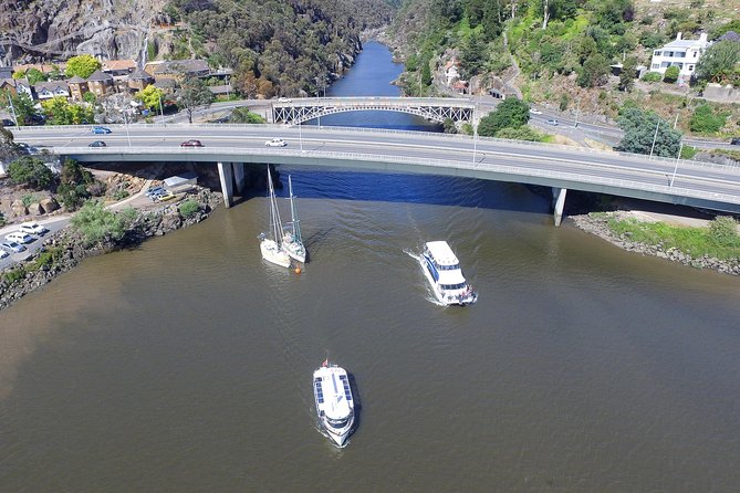 2.50 hour Afternoon Discovery Cruise including Cataract Gorge departing at 3 pm - Launceston’s Riverfront Precinct and Tamar Island: The City Comes First