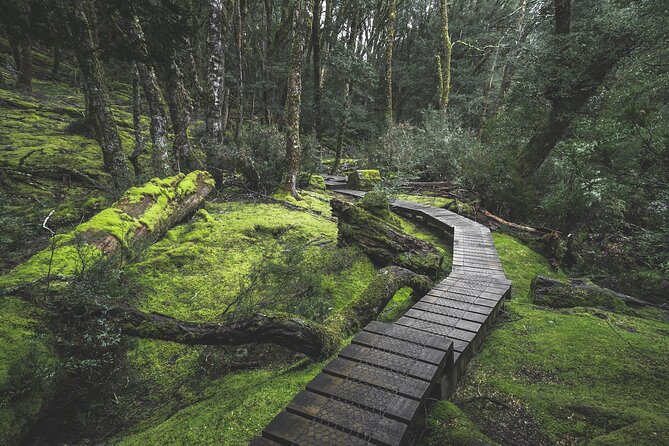 2 day Cradle Mountain and Wineglass Bay - Pacing tips: how to get the most from two days