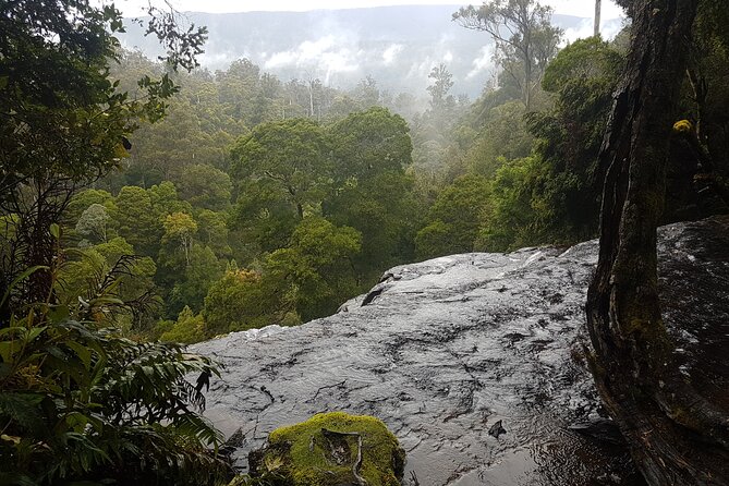 2 Day Cradle Mountain Tour / Hobart return / Inc. Accommodation - Spotting wildlife without getting distracted