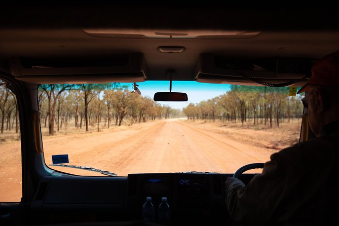 2 Day Daintree Rainforest and Chillagoe Outback Tour - Daintree Ice Cream Company: simple, local, and actually fun