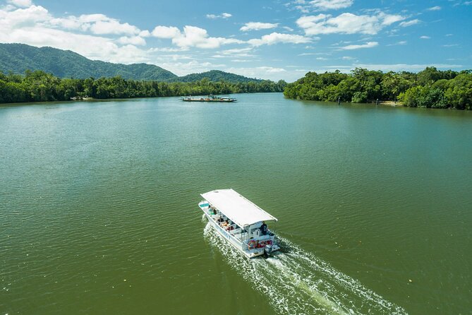 2 Day Great Barrier Reef, Daintree Rainforest & Cape Tribulation - Snorkeling Tips That Actually Matter (Especially If Seas Run High)