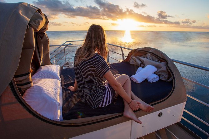 2-Day Great Barrier Reef: Reefsleep Experience - Day 1 Underwater Time: Snorkeling, Dry Views, and Reef Talks