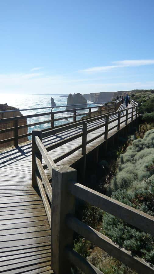 2 Day Great Ocean Road Small Group Tour - Lorne for lunch, Kennett River for wildlife, Apollo Bay for a real break