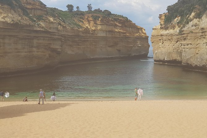 2 Day Great Ocean Road Tour and Platypus paddle - Price and what you really get for $484.14