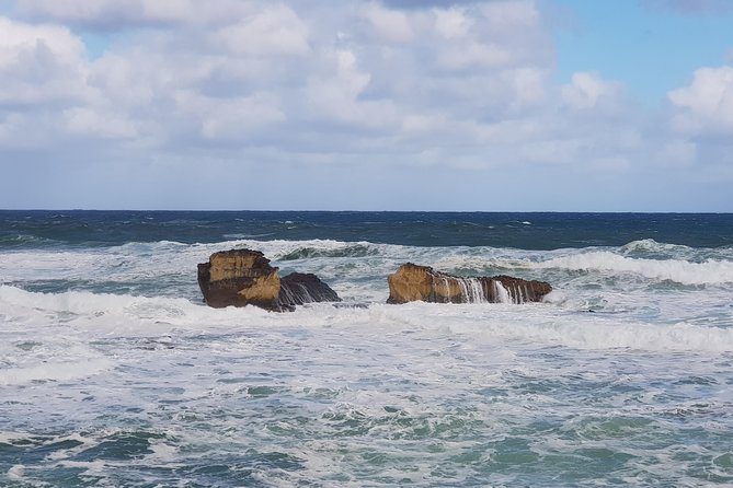 2 Day Great Ocean Road Tour and Platypus paddle - Wildlife spotting and what to do if you want more than photos