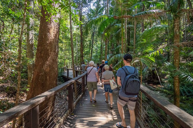 2 Day Kgari Fraser Island Small Group Camping Tour - Dilli Village Bell Tents: Sunset Charcuterie and BBQ Under Stars