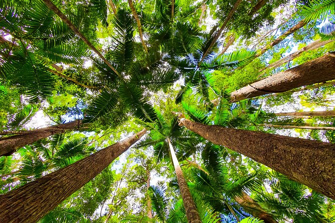 2 Day Kgari Fraser Island Small Group Camping Tour - Lake Birrabeen (When Tides Allow) and Central Station Rainforest