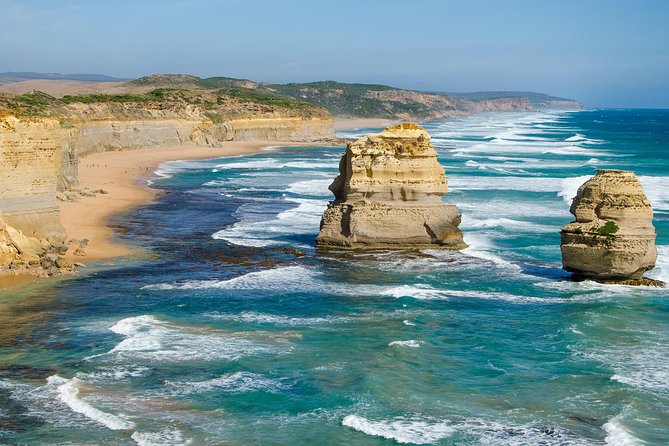 2-Day Melbourne to Adelaide Tour via Great Ocean Road Grampians - Great Otway National Park: rainforest that resets your eyes