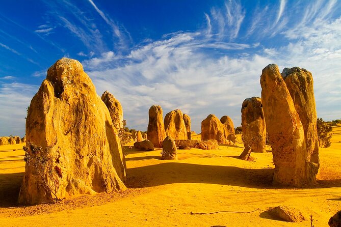 2 day Pink Lake and Kalbarri Tour - The Pinnacles Desert: What You’ll See, and How to Prepare for Walking