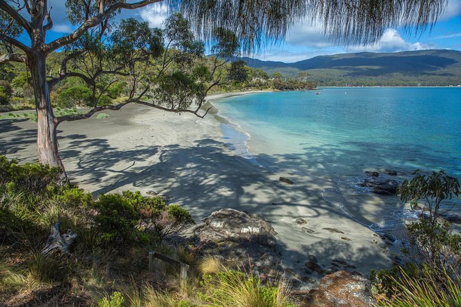 2 Day Tasmanian Highlights Tour - Bruny Island & Port Arthur - Port Arthur and the Tasman Peninsula Day Tour: from Pirates Bay to the harbour cruise