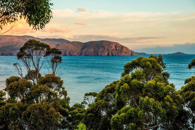 2 Day Tasmanian Highlights Tour - Bruny Island & Port Arthur - Chocolate, lavender, and coastal monuments: why the side stops matter