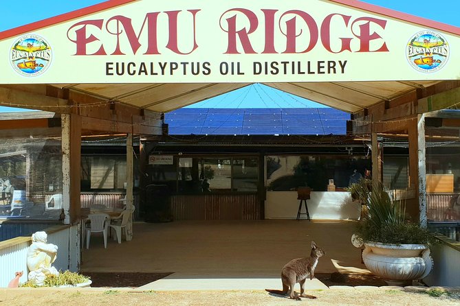 2 day Ultimate Kangaroo Island with return ferry - Kangaroo Island Wildlife Park: keeper talks and up-close animals