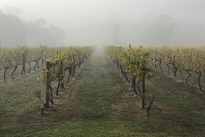 2-Day Yarra Valley Wine Tour with Luxury Vineyard Resort Stay - Balgownie Estate Health Club: Pool, Tennis, Gym, and Time to Reset