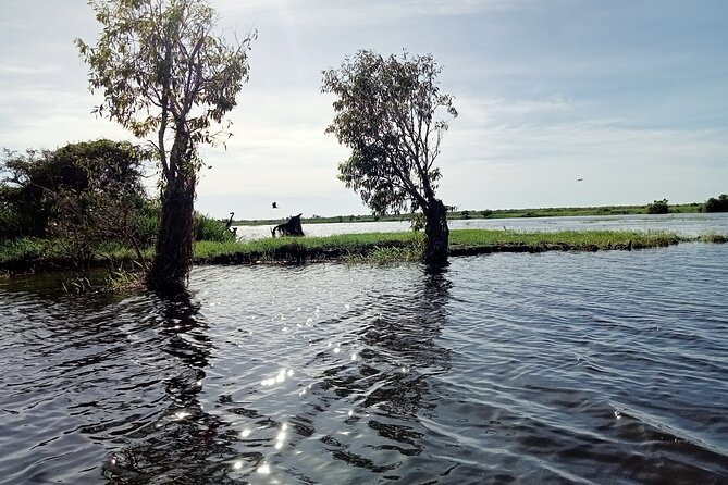 2 Days Kakadu - Price and value: what $2,223.45 per group buys you