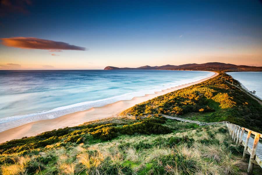 2 Days of Tasmania's Best - Bonorong Wildlife Sanctuary: the straightforward way to meet Tassie’s stars