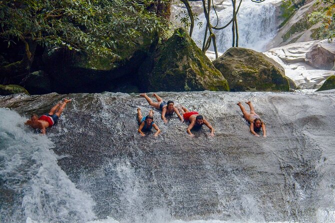 2 Days Tour on Atherton Tablelands and Cape Tribbin - Two Days That Stitch Together Atherton and Cape Tribulation