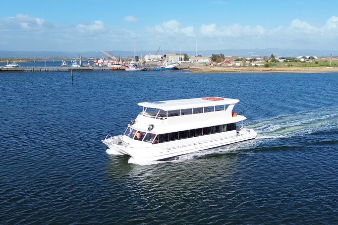 2-Hour Dolphin and Maritime Cruise in Port Adelaide - Key things I’d focus on before you go
