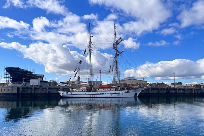 2-Hour Dolphin and Maritime Cruise in Port Adelaide - Stop 2: Adelaide Dolphin Sanctuary and how to manage dolphin expectations