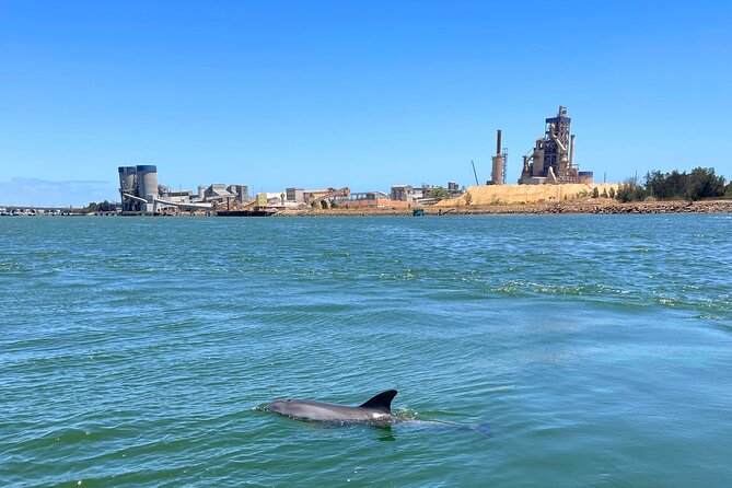 2-Hour Dolphin and Maritime Cruise in Port Adelaide - Price and value: is $63.12 worth it?